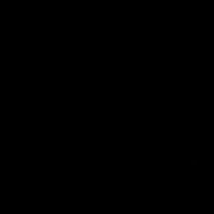 SIILVASj