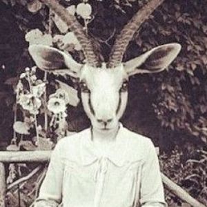 whitepimpx avatar