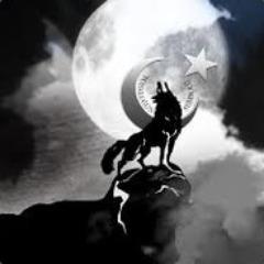 EmirhanYotaz avatar