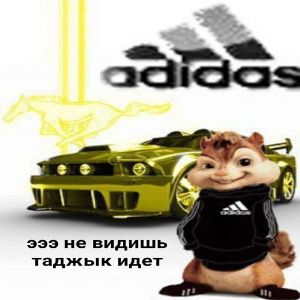 Artemxex