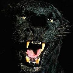 Deviantho avatar