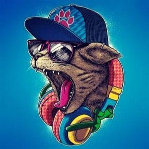 Chosee281 avatar