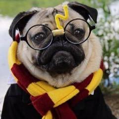 KeRo0 avatar