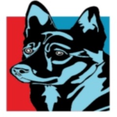 BuksiTeam FACEIT avatar