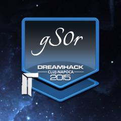 gS0r avatar