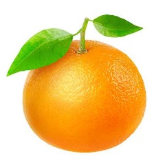 ItzIWelFruit