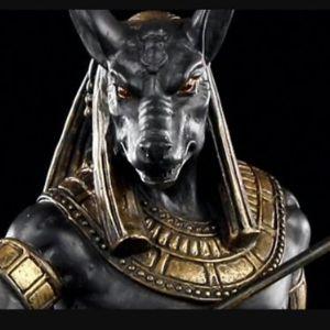 ceTxxx avatar