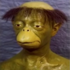 Horzy avatar