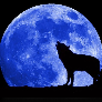 TheWolf00