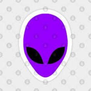 Cr1stinel