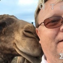 BungerKiller