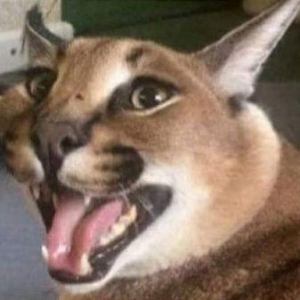 Diesel24 avatar