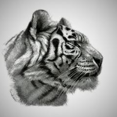 Storee avatar