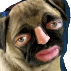 Newkarb avatar
