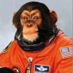 MRDPanefs avatar
