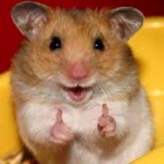 Player SexyHamster avatar