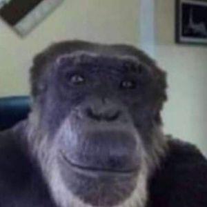 ProstoMaxik avatar