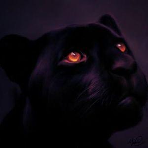 wiss1__edd9 avatar