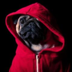 PwQ23 avatar