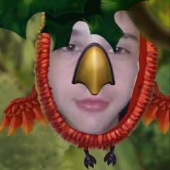 forkiPL avatar