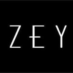 Player Z_E_Y avatar