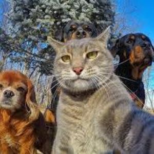 Ch4rly_FRRR avatar