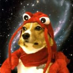 LobsterDog-