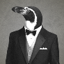Player Tux33 avatar