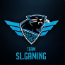 Faceit profile picture for @h1sok4