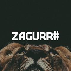 zagurr avatar