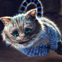 Shalidars avatar