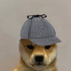 cobra_nxqw
