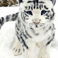 Player -Miraak avatar
