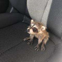 abbeking53 avatar