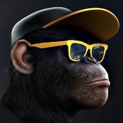 Nasredinho avatar