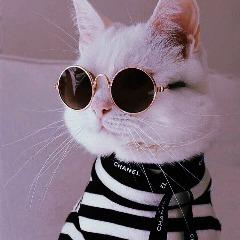 dux0t avatar