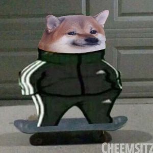 _RODJ3R_ FACEIT avatar