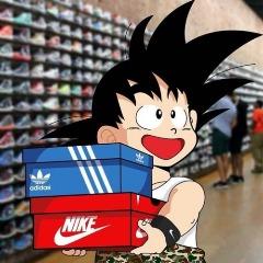 pqle avatar