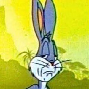 ZaaLyPeHeZ avatar