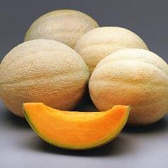 Player MelonLover avatar