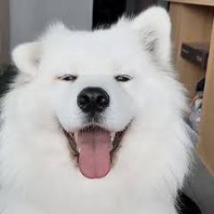 SXMFPS avatar