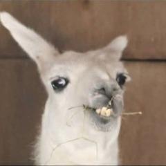 SPPA avatar