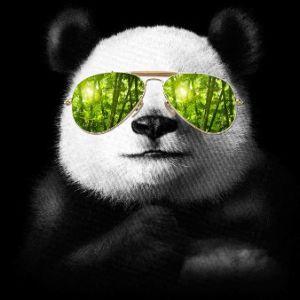 Justrixi avatar