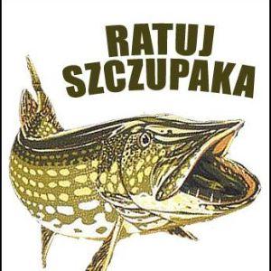 PasiSzczupak avatar
