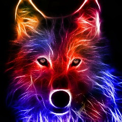 RyanDT avatar
