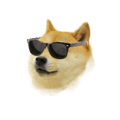 nowaxon