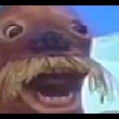 eiwuboi
