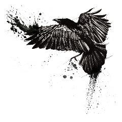 __ZaZu__ avatar