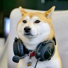theKubin avatar