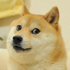 4567wolf avatar